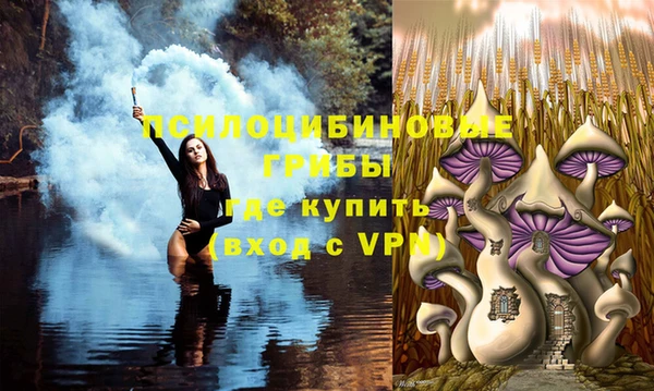 мяу мяу мука Кущёвская