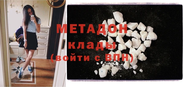 индика Алексин